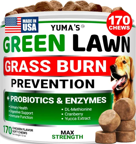 Vista 10 de Probióticos para perros y enzimas digestivas – 170 probióticos masticables para perros – Probiótico para perros – Anti diarrea, malestar estomacal