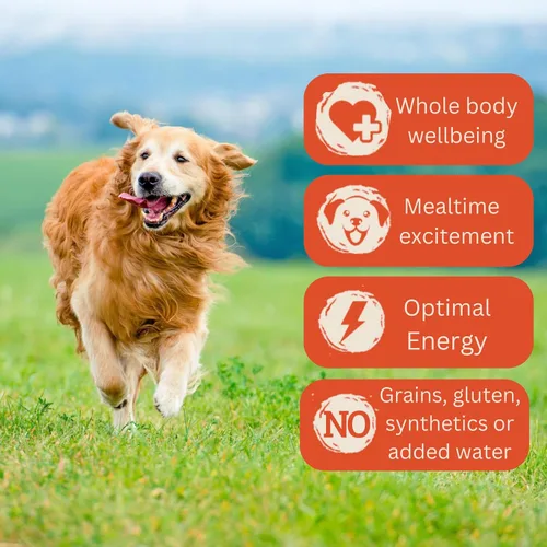 Vista 5 de Alimento húmedo para perros 100% de carne de res, un solo ingrediente, mezclador y adorno rico en proteínas, pastel de carne en caldo de hueso, lata