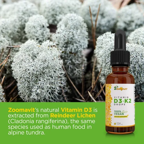 Vista 6 de Gotas líquidas veganas Vitamina D3 K2 (MK7) – Vitamina D líquida 100% a base de plantas mejorada con aceite de coco para una máxima absorción – 1