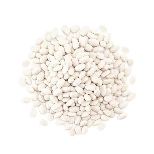 Vista 3 de Food to Live Frijoles marinos, 1 libra crudos, secos, veganos, kosher, frijoles blancos enteros pequeños a granel, buena fuente de proteínas, fibra