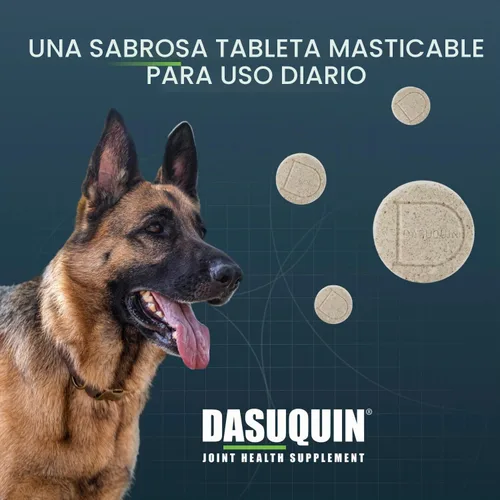 Vista 4 de Nutramax Dasuquin Suplemento para articulaciones para perros grandes, tabletas masticables, 150