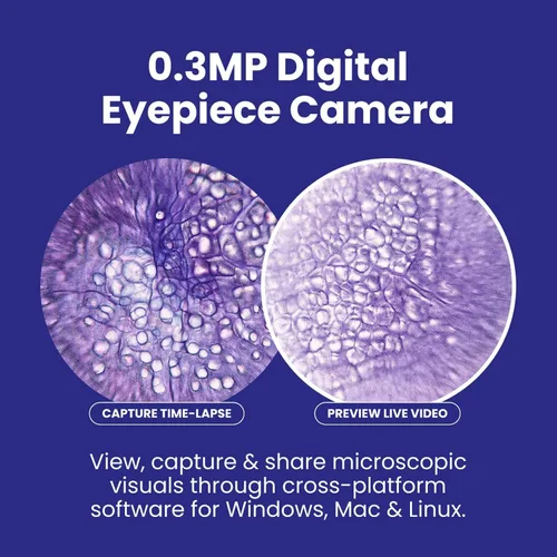Vista 5 de AmScope Serie B120 Microscopio compuesto binocular LED para estudiantes y profesionales - Aumento 40X a 2500X - Incluye cámara USB 2.0 de 0.3MP