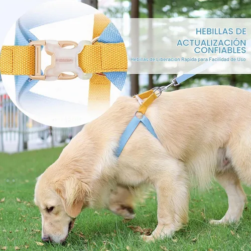Vista 5 de Juego de arnés y correa para perro sin tirones, collar de perro, arnés halter para perro con soporte para bolsa de excrementos, correas ajustables