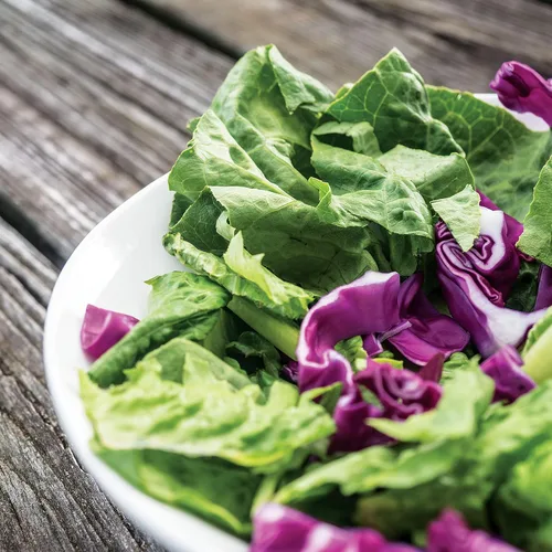 Vista 3 de Park Seed Batavian Full Heart Endive & Chicory Lechuga Mezcla de Semillas - Variedad nutritiva de Escarole con corazones blanqueados cremosos, ideal