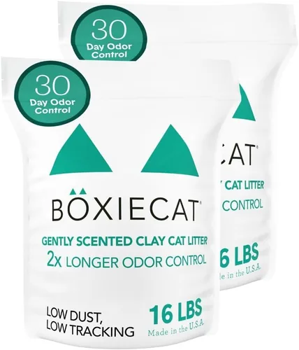 Vista 12 de Boxie® - Arena aglutinante de arcilla extra fuerte con control de olores de 35 días para gatos y gatitos, 16 libras, 99.9% libre de polvo, fórmula