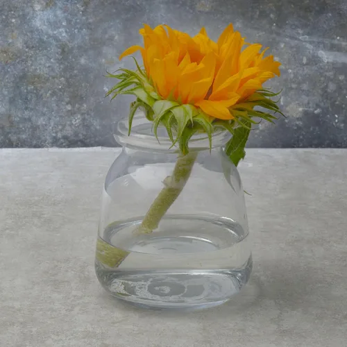 Vista 5 de Elements Jarrón para botella de leche de vidrio transparente de 5 pulgadas, florero pequeño para flores secas, flores sintéticas y decoración