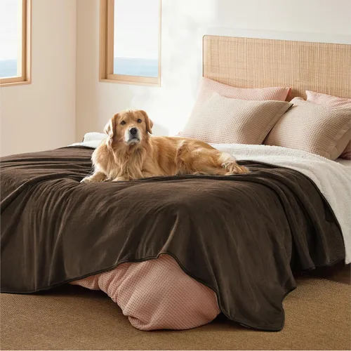 Vista 73 de Bedsure - Mantas impermeables para perros pequeños - Manta de felpa de sherpa con impresión suave lavable para perros y gatos, protector de muebles