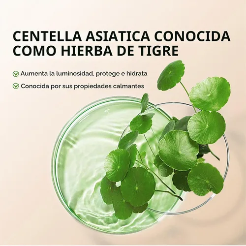 Vista 5 de Crema CC Hidratante con Centella Asiática - Primér Pre-Maquillaje Multiusos Hidratante, Corrector Facial, Protector Solar, Crema CC de Cobertura 01