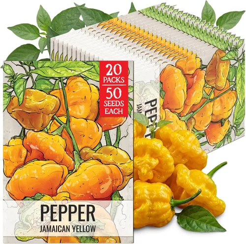 Vista 81 de Seed Needs - Semillas de pimiento arcoíris para plantar verduras, 1 paquete