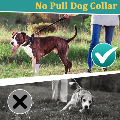 Vista 6 de Mayerzon Martingale - Collar antitirones para perros grandes y medianos, Pitbull Pastor alemán rottweilers, patentado reflectante anti tirones, Negro