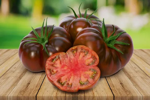 Vista 2 de Semillas Black Russian Tomate Indeterminado No GMO Heirloom