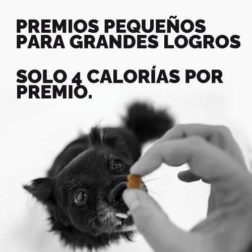 Vista 3 de BIXBI Trainers - Golosinas de entrenamiento para perros totalmente naturales sin granos, tocino, 6 onzas
