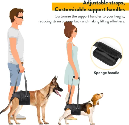 Vista 3 de Arnés de elevación para perros, soporte ajustable para perros grandes, patas traseras, ayuda de movilidad para perros mayores, chaleco asistente