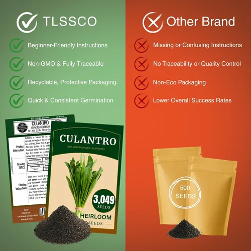 Vista 4 de 3049+ Semillas de culantro, semillas de hierbas tradicionales para plantar, empernado lento, alternativa de cilantro sabrosa, ideal para jardines