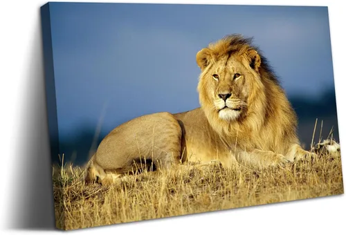 Vista 31 de YONICA Lienzo de pared de animales de la naturaleza, pintura de pared de águila, impresión artística de águila calva voladora impresa en lienzo