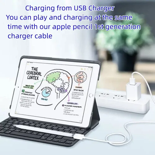 Vista 3 de ForApple - Cargador de bolígrafo (1 unidad, 1 pie) para Apple Pencil de 1ª generación Cargador iPencil de 20 minutos de carga completa para Apple