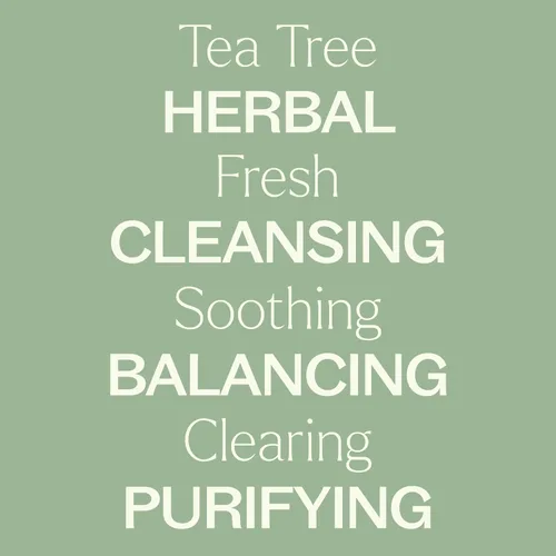 Vista 4 de Plant Therapy Árbol de té (Melaleuca) Hydrosol 4 oz subproducto de aceites esenciales