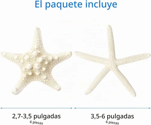Vista 2 de 12 piezas de estrellas de mar Decoración de estrellas de mar de 2.5 a 6 pulgadas Conchas naturales de estrella de mar a granel perfectas