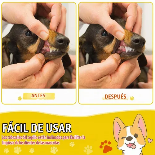 Vista 6 de Nuogo 200 cepillos de dientes para perros, mango largo de doble cabeza, 8