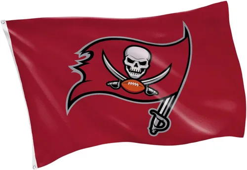 Vista 19 de Bandera de casa al aire libre duradera de 3 x 5 pies de los Arizona Cardinals de la NFL con ojales Bandera y cartel del equipo deportivo Bandera