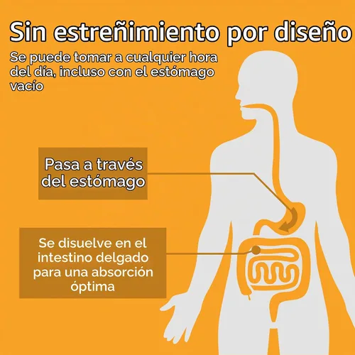 Vista 6 de Fergon Iron Restore - Tabletas masticables - Suave con el estómago, 27 mg