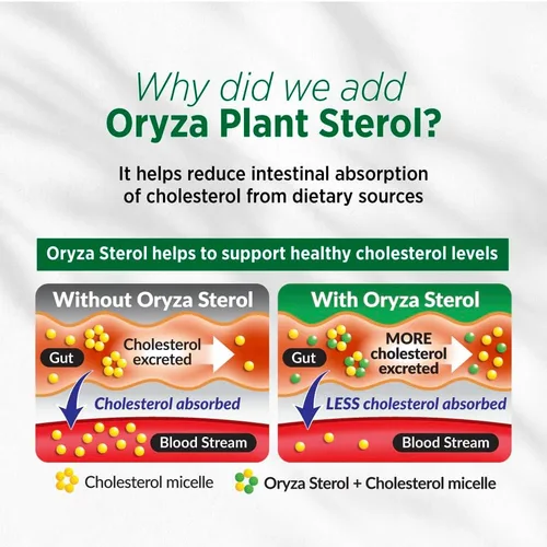 Vista 6 de LABO Nutrition CHOLRestore - Arroz de levadura roja con suplemento de salud de fitosterol, apoya niveles saludables de colesterol, libre