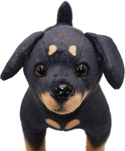 Vista 2 de BABOLI Rottweiler realista animal de peluche extremadamente realista Rottie perro juguete negro cachorro muñeca para niños regalo o colección