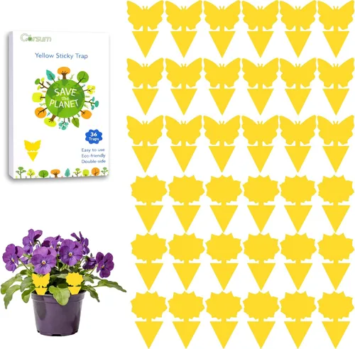 Vista 15 de Garsum Trampa para Moscas de la Fruta Amarilla Pegajosa 18 piezas Matamoscas de Hongos para Plantas de Interior y Exterior Atrapador de Insectos