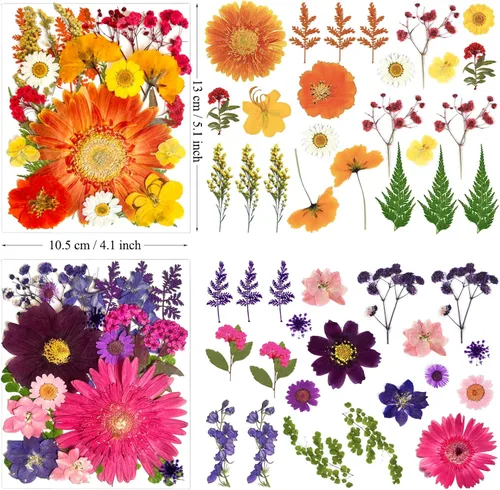 Vista 6 de 90 piezas de flores secas prensadas grandes para moldes de resina, flores naturales reales surtidas, pétalos de hojas para manualidades, joyas