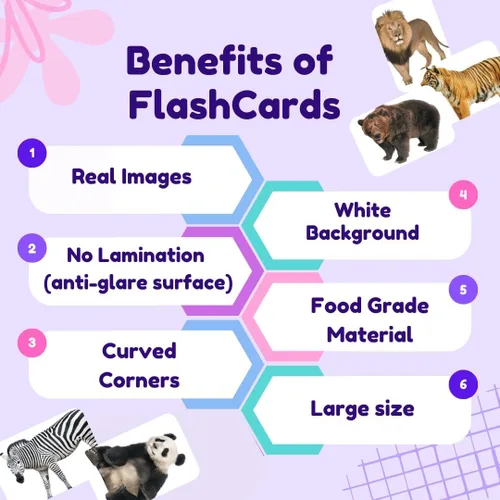 Vista 7 de Hungry Brain Tarjetas didácticas de números para niños pequeños de 1 mes a 6 años Tarjetas de aprendizaje de números Montessori para niños