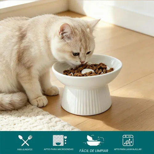 Vista 5 de Cuenco elevado de cerámica para gatos, comedero lento para gatos, antivómitos y asfixia, comedero lento en forma de corazón elevado para alimentos
