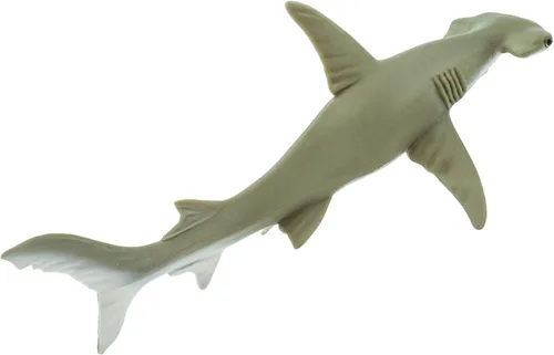 Vista 6 de Safari Ltd. Figura de tiburón Hammerhead – Figura detallada de plástico de 6.5 pulgadas – Divertido juguete educativo para niños, niñas y niños a