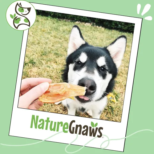 Vista 6 de Nature Gnaws Tendones de Res para Perros (8oz) - Grosor Mixto - Larga Duración para Perros Pequeños y Medianos - Huesos Masticables Naturales