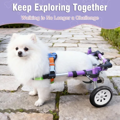 Vista 6 de Silla de ruedas de apoyo para perros para patas traseras, carrito de movilidad ajustable para perros traseros, carrito de apoyo para perros