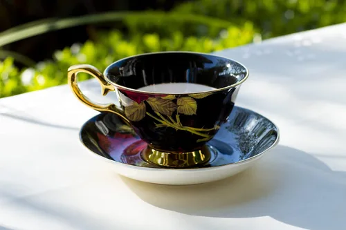 Vista 4 de Taza de té y platillo de porcelana de hueso rosa de tallo (negro)