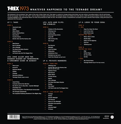 Vista 2 de Whatever Happened To The Teenage Dream Orange