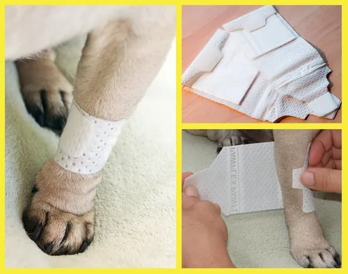 Vista 6 de PawFlex Vendajes básicos para las piernas para perros, gatos, mascotas, no adhesivos, aptos para pieles de primera ayuda, cuidado suave y elástico
