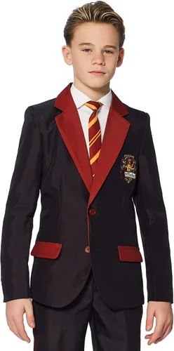 Vista 4 de BOYS Harry Potter Gryffindor