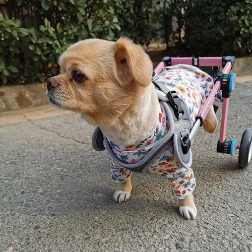 Vista 2 de Ayuda de rehabilitación para silla de ruedas para perros, silla de ruedas plegable para mascotas con bolsa práctica, color rosa/blanco, ajustable