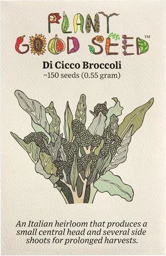 Vista 7 de Plant Good Seed Semillas de brócoli Marathon F1 para plantar: vegetales de alto rendimiento, cabezas verdes pesadas, paquete de 75 semillas