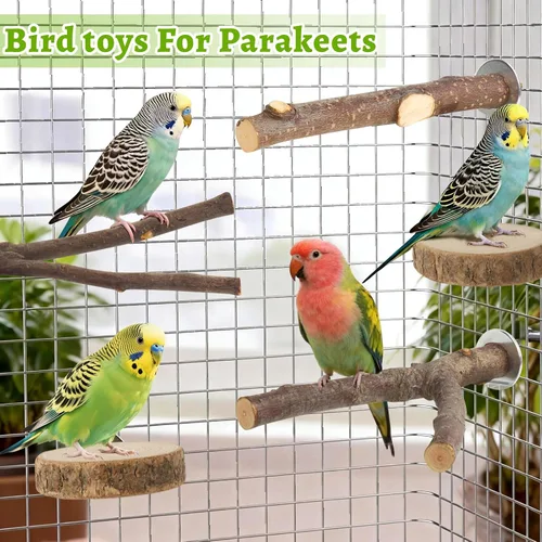 Vista 6 de Paquete de 8 perchas para pájaros, plataformas de madera de manzana natural, ramas de madera dura, accesorios para periquitos, cacatúas, tortolitos