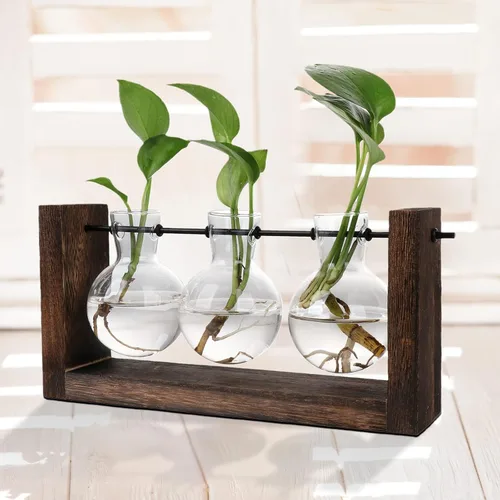 Vista 6 de Terrario para plantas con soporte de madera, jarrón de propagación de mesa, macetas hidropónicas de vidrio, maceta de aire, florero de vidrio