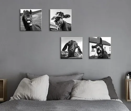 Vista 3 de Arte de pared en blanco y negro para pared, diseño de animales, caballos, burros, ovejas, vacas, cuadros divertidos para decoración de dormitorio
