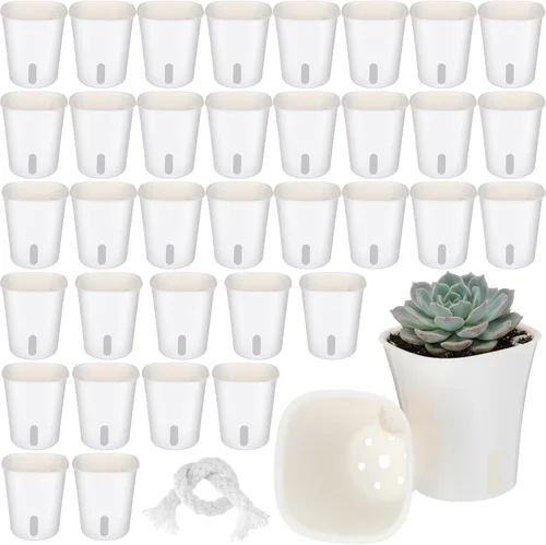 Vista 9 de Ziliny 20 piezas de 3.74 pulgadas Macetas de riego automático Macetas de riego automático para plantas de interior Macetas de plástico para jardín