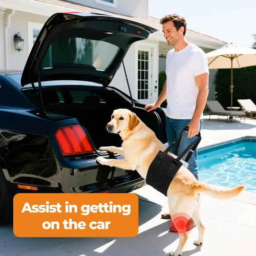 Vista 5 de Arnés de elevación para perro, ajustable y cómodo arnés para perro con asa para rodilla de perro grande para desgarro de ACL, patas traseras