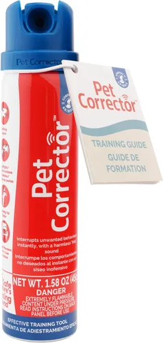 Vista 13 de Pet Corrector