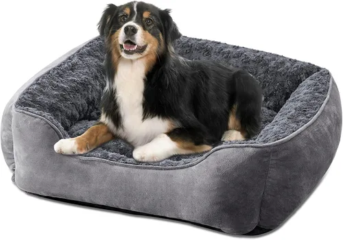 Vista 32 de JOEJOY - Cama rectangular para perros grandes, medianos y pequeños - Cama de sofá ortopédica lavable, suave y transpirable para cachorros