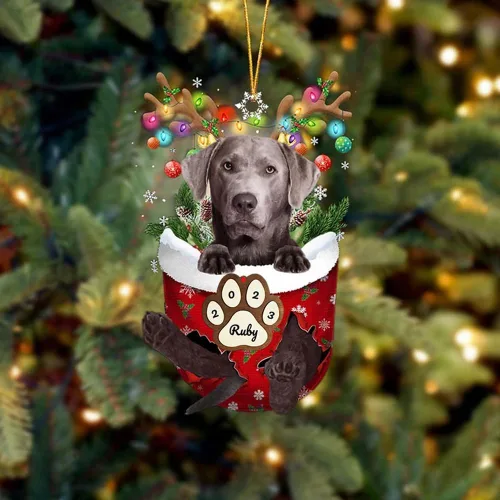 Vista 170 de Adornos personalizados de Pug cervatillo – Decoración personalizada para árbol de Navidad con patas de bolsillo de nieve