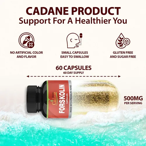 Vista 2 de Forskolina Suplementos Cápsulas con cúrcuma curcumina, Arjuna, Garcinia Cambogia, Té Verde - 60 Cápsulas