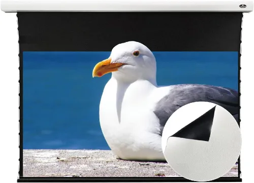 Vista 12 de VIVIDSTORM - Pantalla de cine de PVC blanco perforado transparente para el hogar, pantalla de montaje en techo, compatible con proyector ordinario